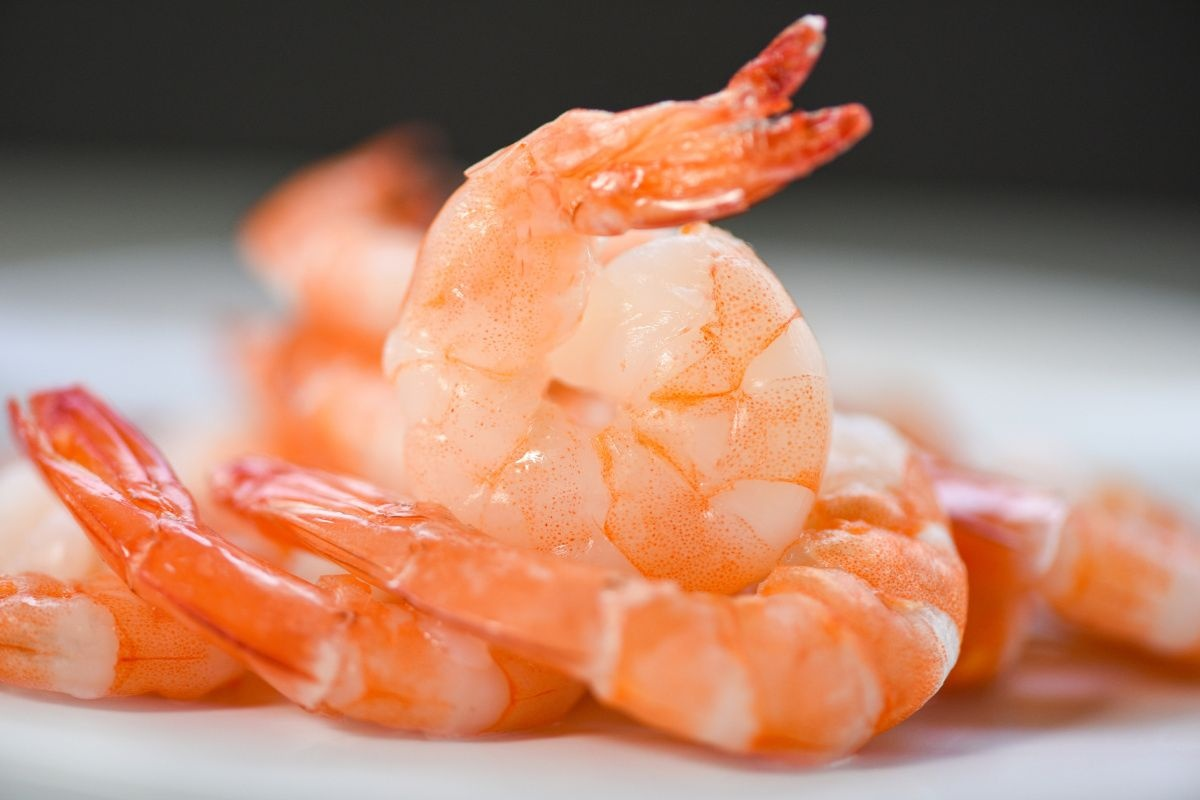 Dinh dưỡng thể thao và vai trò của hải sản