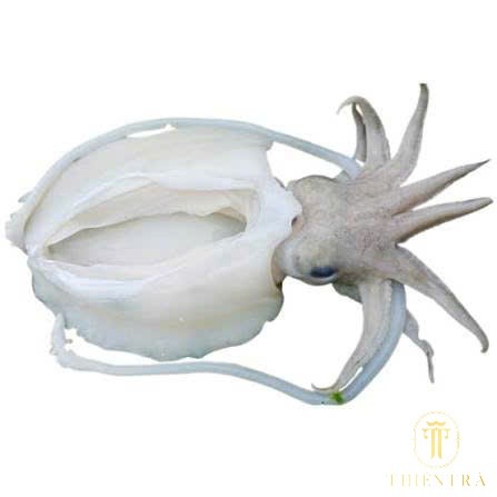 Mực Nan Thương Phẩm